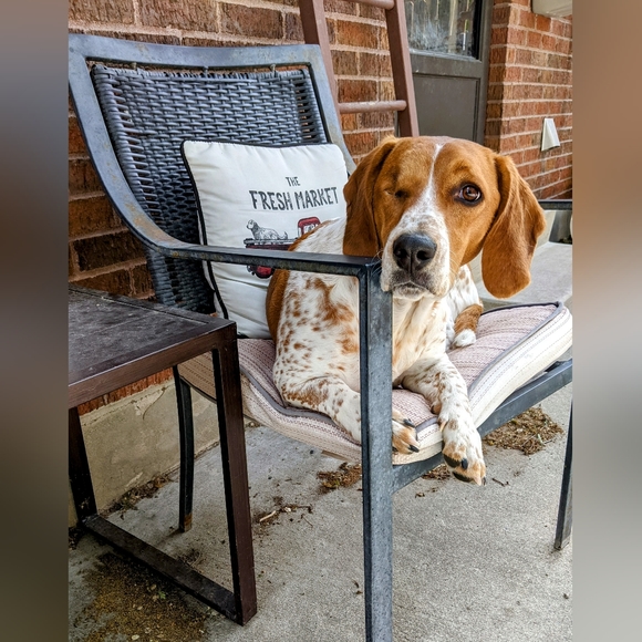 Meet your Posher, Mercedes - Picture 2 of 5